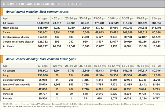 A Snapshot of Causes of Death in the United States